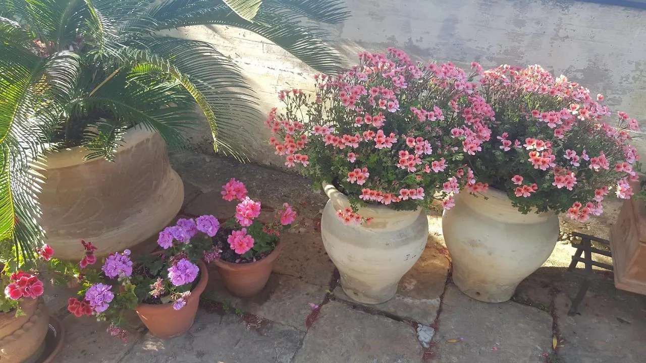Palermo Ridente Apartman 0*,